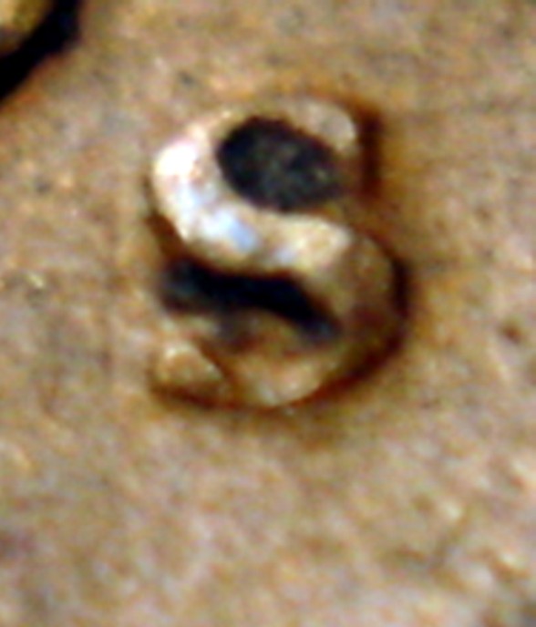 1946-Inverted-S-Lincoln-Wheat-Cent---Is-This-One-Of-Them?